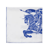 SILK SCARVES SEL