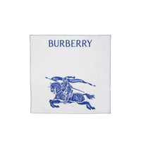 SILK SCARVES SEL